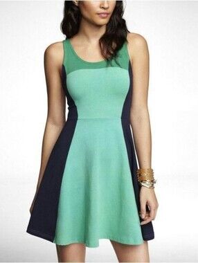 Y2K Express fit and flare colorblock skater dress